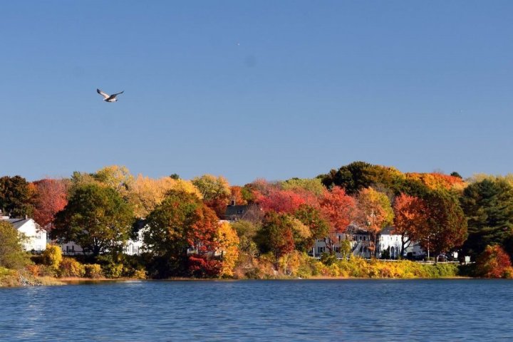 a small island in the middle of a body of water