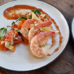 Plated local Maine shrimp cocktail