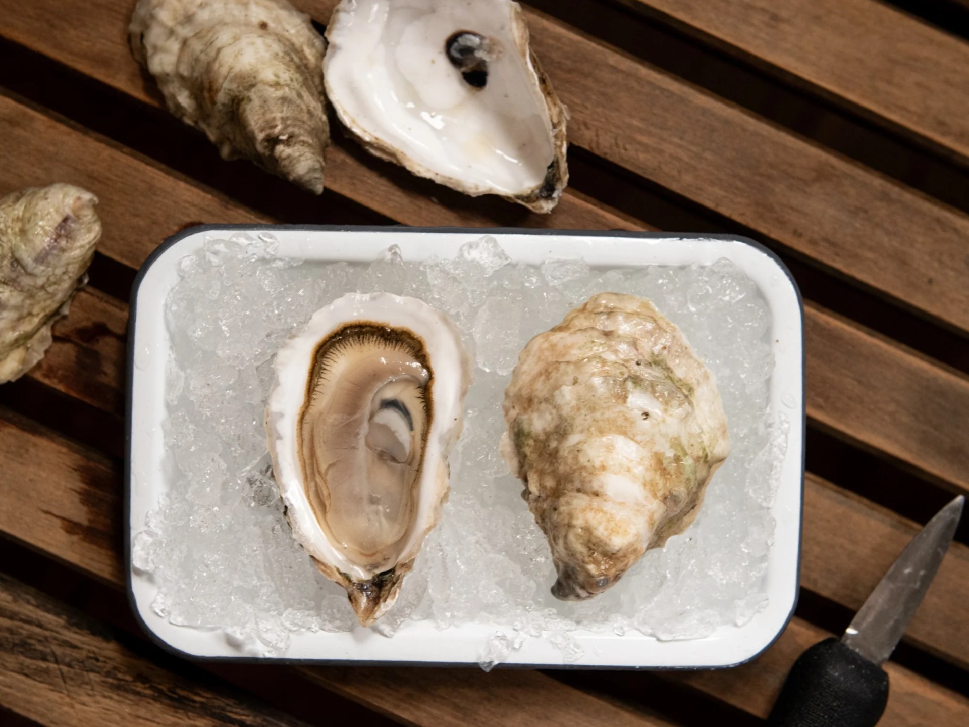 Chebeague Island Oysters on the half shell