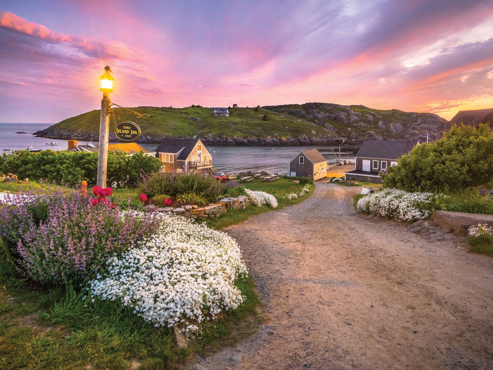 a path with trees on the side of a river